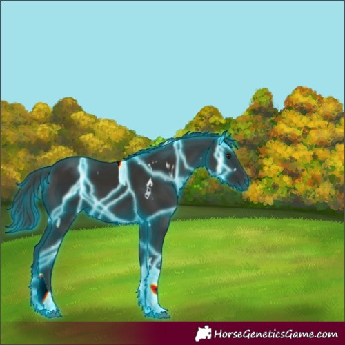 Horse Color:Unknown 
