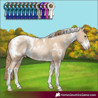 Horse Color:White Spotted Smoky Black Pearl Sabino 