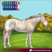 Horse Color:White Spotted Smoky Black Pearl Sabino 