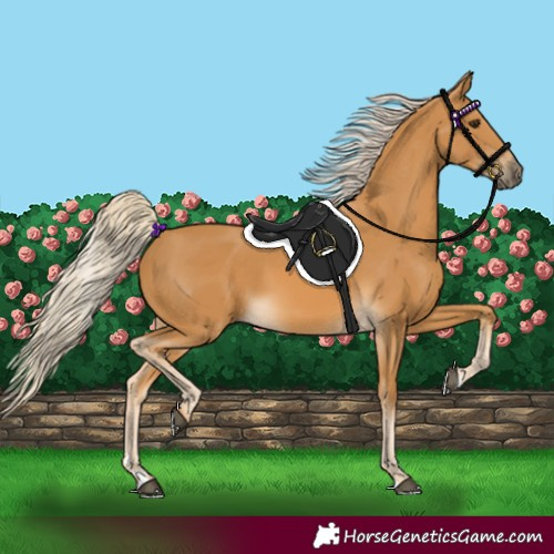 Horse Color:Palomino 