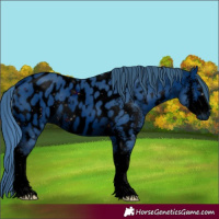 Horse Color:ERROR: UNKNOWN ANOMALY