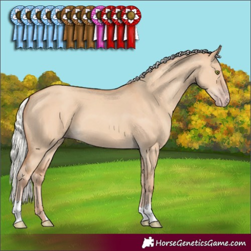 Horse Color:Silver Classic Champagne Dun 