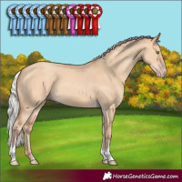 Horse Color:Silver Classic Champagne Dun 