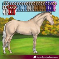 Horse Color:Silver Classic Champagne Dun