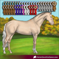Horse Color:Silver Classic Champagne Dun