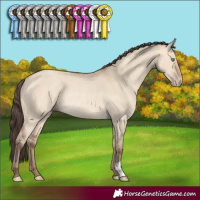 Horse Color:Amber Champagne Dun Rabicano