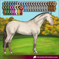 Horse Color:Amber Champagne Dun Rabicano 
