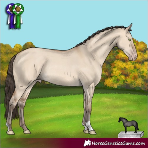 Horse Color:Amber Champagne Dun Rabicano 