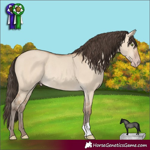 Horse Color:Amber Champagne Dun Rabicano 