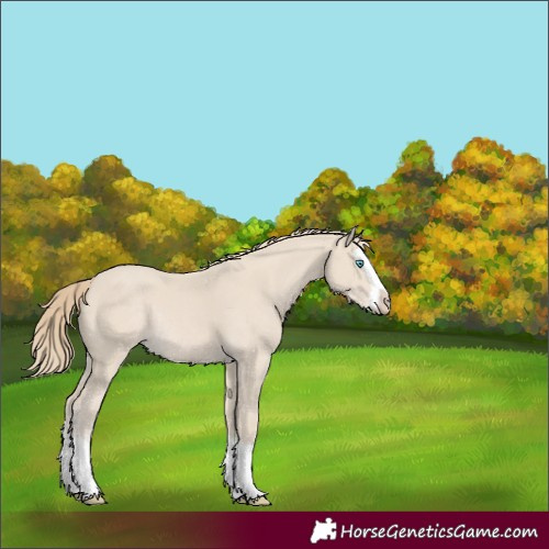 Horse Color:Smoky Creme Splash Rabicano 
