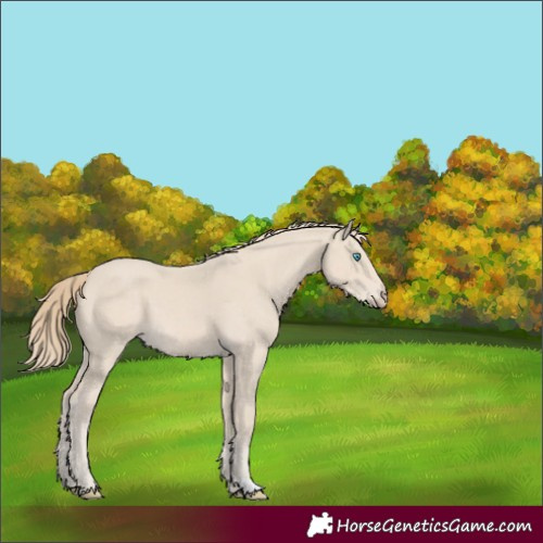 Horse Color:Smoky Creme 