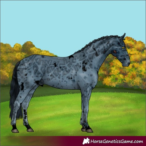 Horse Color:ERROR: UNKNOWN ANOMALY