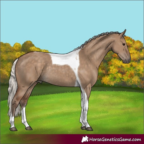 Horse Color:Silver Grullo Tobiano Rabicano 
