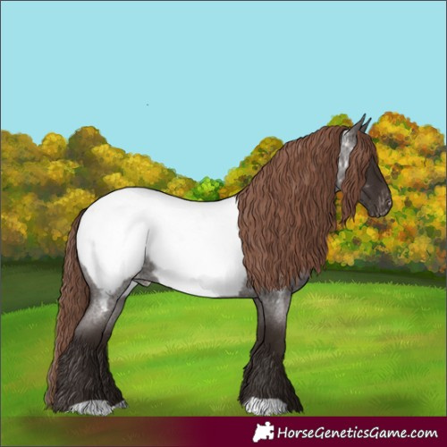Horse Color:Liver Red Roan Near Fewspot 