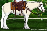 Horse Color:Silver Classic Cream Champagne Dun Splash 