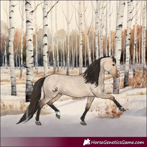 Horse Color:Bay Roan Dun Splash 