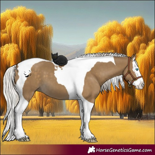 Horse Color:Silver Smoky Black Splash Tobiano 