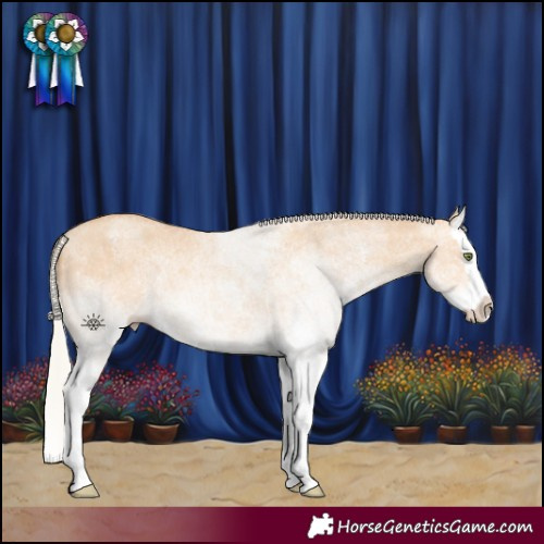 Horse Color:White Spotted Silver Amber Champagne Dun Splash 
