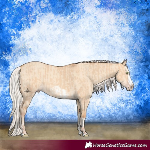 Horse Color:Silver Amber Champagne Dun Splash Frame  and Silver Amber Champagne Dun Splash 