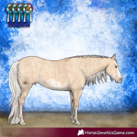 Horse Color:Silver Amber Champagne Dun Splash Frame and Silver Amber Champagne Dun Splash