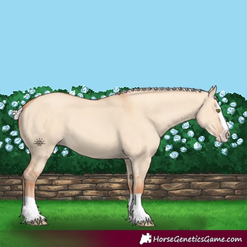 Horse Color:Silver Classic Champagne Dun Splash 