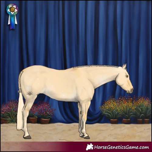 Horse Color:Palomino Dun 