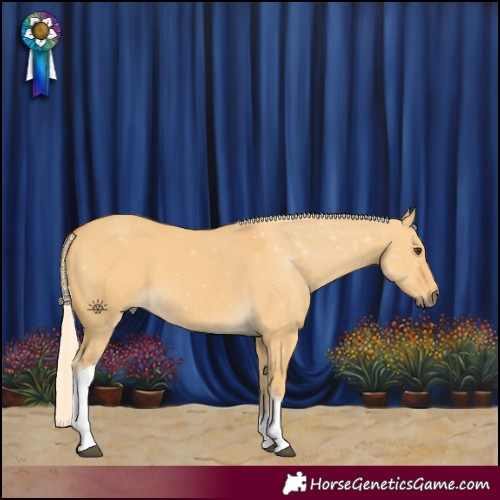 Horse Color:Palomino Dun Tobiano 