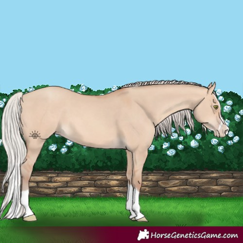Horse Color:Silver Amber Champagne Dun Splash