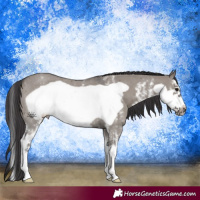 Horse Color:Smoky Grullo Sabino Frame Rabicano 