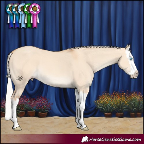 Horse Color:Silver Amber Champagne Dun Splash 