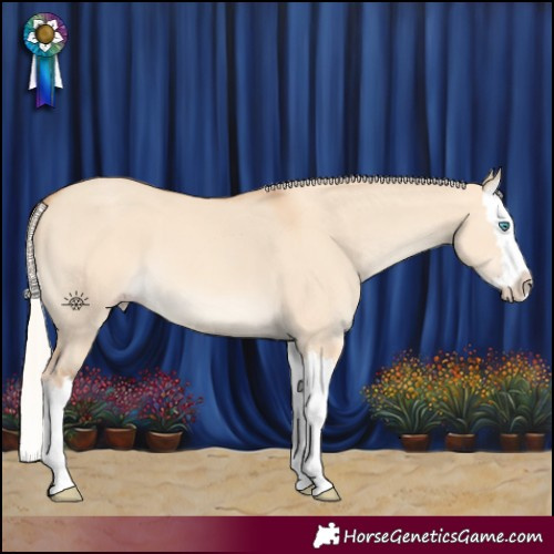 Horse Color:Silver Amber Champagne Dun Splash 