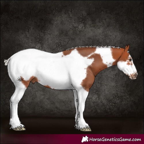 Horse Color:Silver Bay Tobiano Frame 