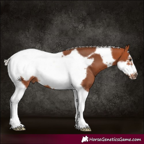 Horse Color:Silver Bay Tobiano Frame 