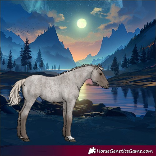 Horse Color:Silver Blue Roan 