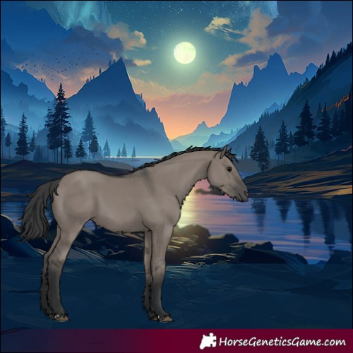 Horse Color:Grullo 