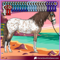 Horse Color:Bay Dun Blanket