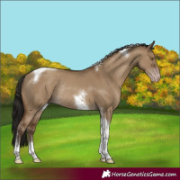 Horse Color:Gray Classic Champagne Dun Tobiano Rabicano
