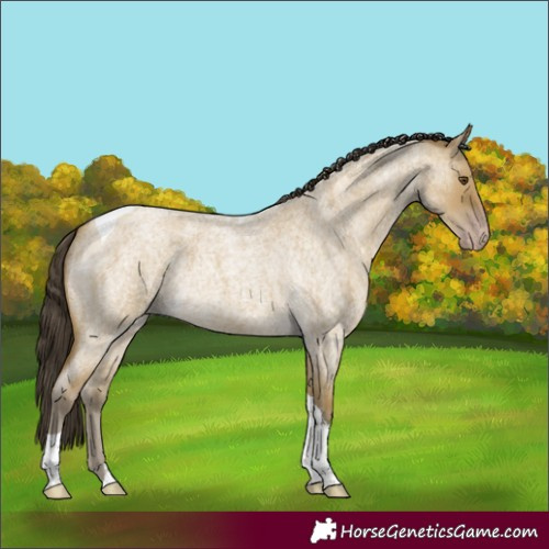 Horse Color:Classic Cream Champagne Roan Dun Tobiano Rabicano 