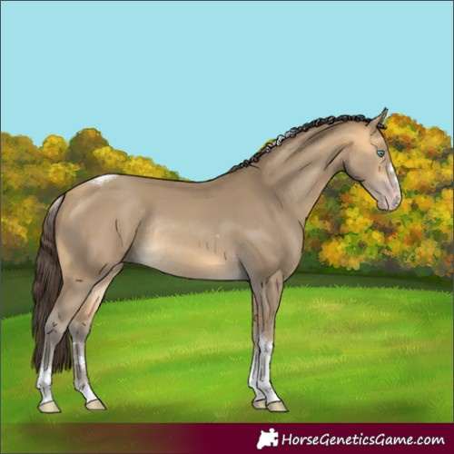 Horse Color:Sable Cream Champagne Tobiano Rabicano 