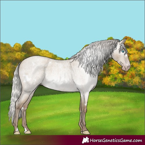 Horse Color:Gray White Spotted Silver Classic Cream Champagne Roan Dun Rabicano 