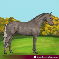 Horse Color:Silver Smoky Black 