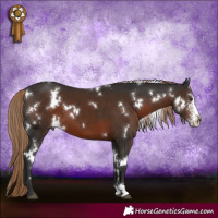 Horse Color:White Spotted Liver Chestnut Sabino