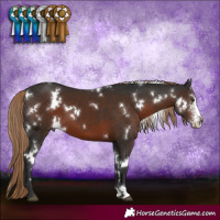 Horse Color:White Spotted Liver Chestnut Sabino 