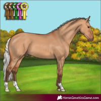 Horse Color:Silver Bay Dun 