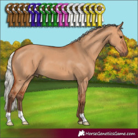 Horse Color:Silver Bay Dun