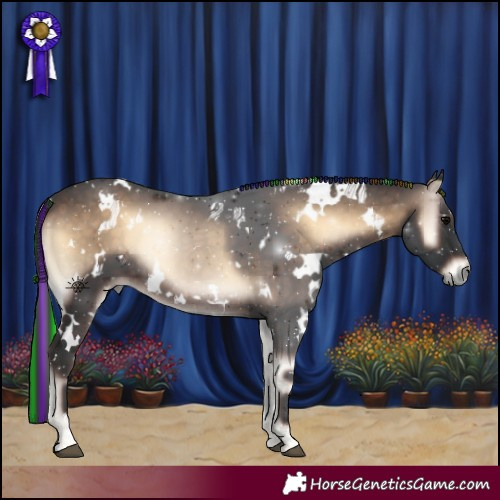 Horse Color:Painted White Spotted Brown Onyx 