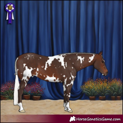 Horse Color:White Spotted Silver Brown 