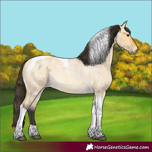 Horse Color:Buckskin Roan Dun Tobiano