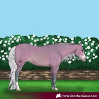 Horse Color:Watercolor Silver Bay 