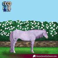 Horse Color:Watercolor Gold Champagne Roan 